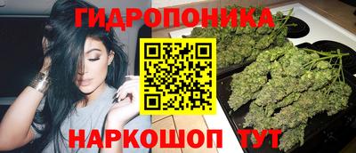 метадон Новодвинск