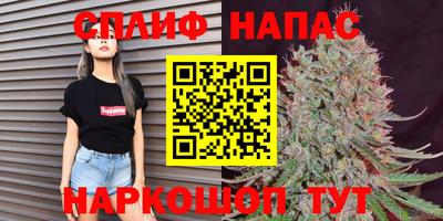 метадон Новодвинск