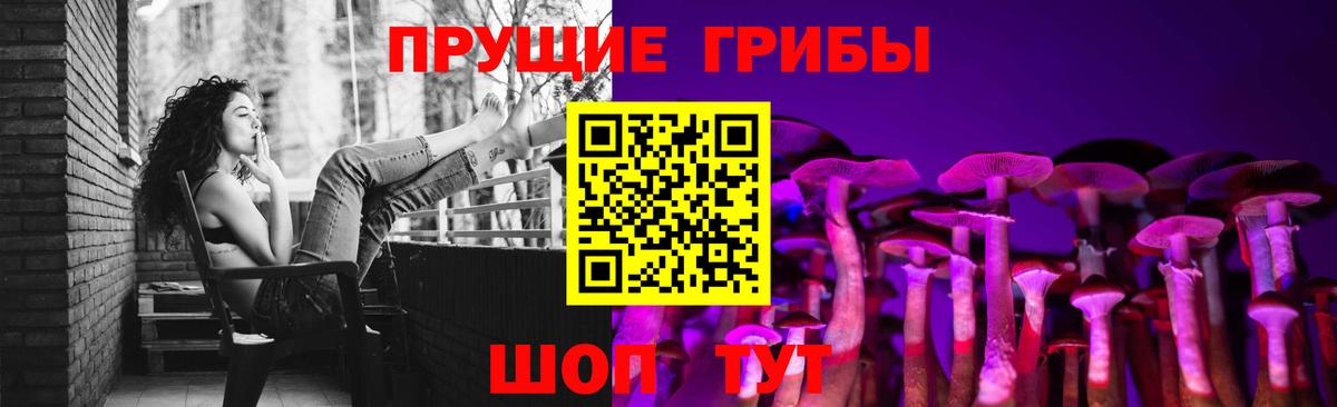 Псилоцибиновые грибы GOLDEN TEACHER  Вход с VPN  Торжок 